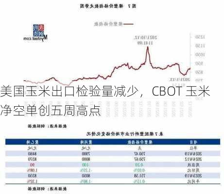 美国玉米出口检验量减少，CBOT 玉米净空单创五周高点