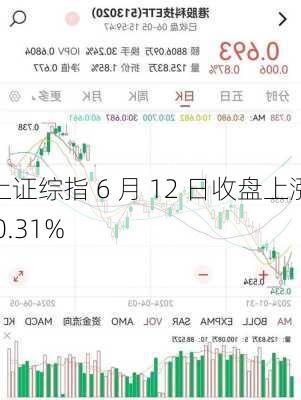 上证综指 6 月 12 日收盘上涨 0.31%