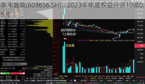 泰禾智能(603656.SH)：2023年年度权益分派10派0.5元