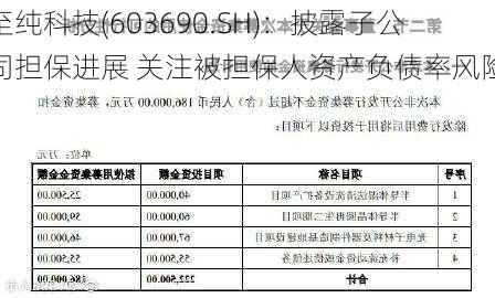 至纯科技(603690.SH)：披露子公司担保进展 关注被担保人资产负债率风险