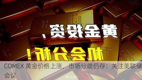 COMEX 黄金价格上涨，市场分歧仍存：关注美联储会议