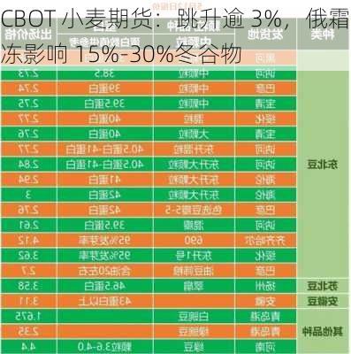 CBOT 小麦期货：跳升逾 3%，俄霜冻影响 15%-30%冬谷物