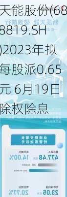 天能股份(688819.SH)2023年拟每股派0.65元 6月19日除权除息