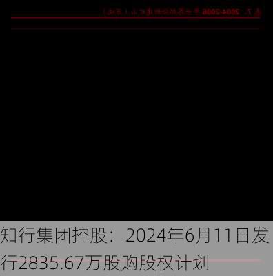 知行集团控股：2024年6月11日发行2835.67万股购股权计划