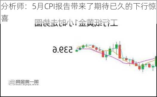 分析师：5月CPI报告带来了期待已久的下行惊喜