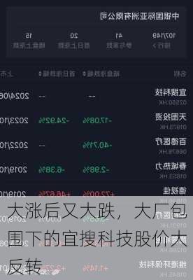 大涨后又大跌，大厂包围下的宜搜科技股价大反转