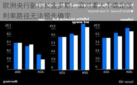 欧洲央行副行长金多斯：面对重大不确定性 利率路径无法预先确定