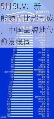 5月SUV：新能源占比超七成，中国品牌地位愈发稳固