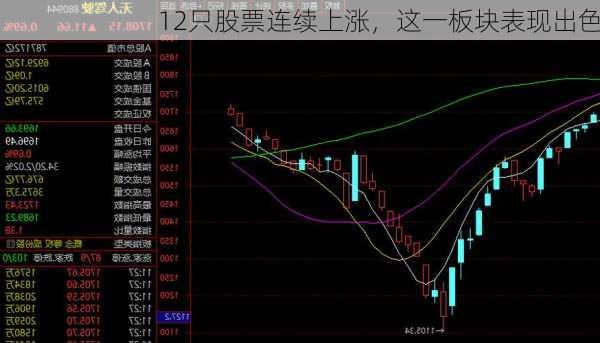 12只股票连续上涨，这一板块表现出色