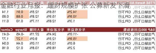 金融行业月报：理财规模扩张 公募新发下滑