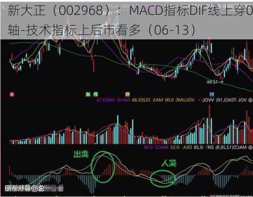 新大正（002968）：MACD指标DIF线上穿0轴-技术指标上后市看多（06-13）