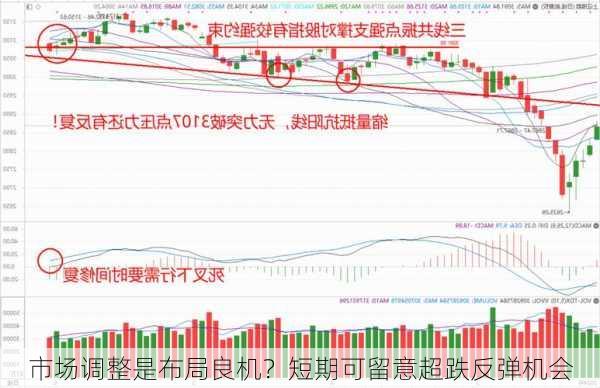 市场调整是布局良机？短期可留意超跌反弹机会