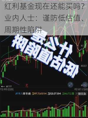 红利基金现在还能买吗？业内人士：谨防低估值、周期性陷阱