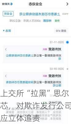 上交所“拉黑”思尔芯，对欺诈发行公司应立体追责