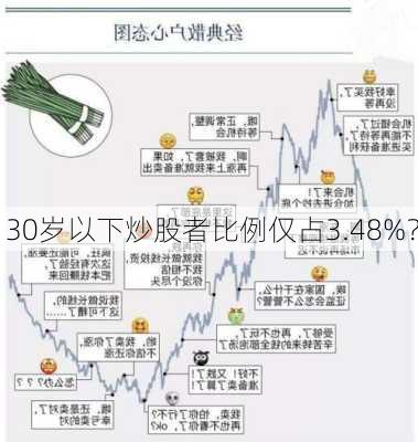 30岁以下炒股者比例仅占3.48%？