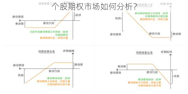 个股期权市场如何分析？