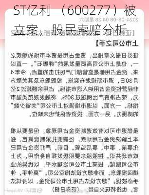 ST亿利 （600277）被立案，股民索赔分析