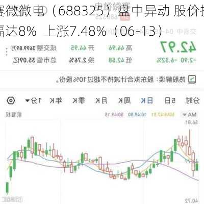 赛微微电（688325）盘中异动 股价振幅达8%  上涨7.48%（06-13）