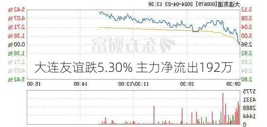 大连友谊跌5.30% 主力净流出192万