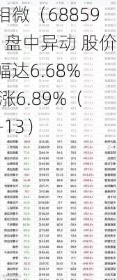 新相微（688593）盘中异动 股价振幅达6.68%  上涨6.89%（06-13）