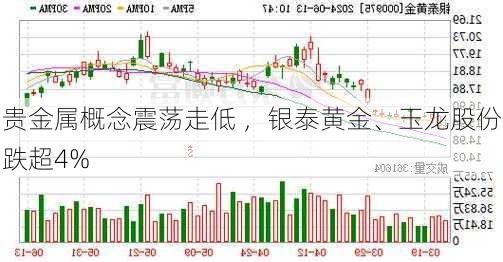 贵金属概念震荡走低 ，银泰黄金、玉龙股份跌超4%