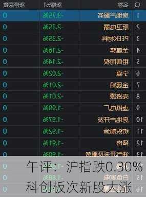 午评：沪指跌0.30% 科创板次新股大涨