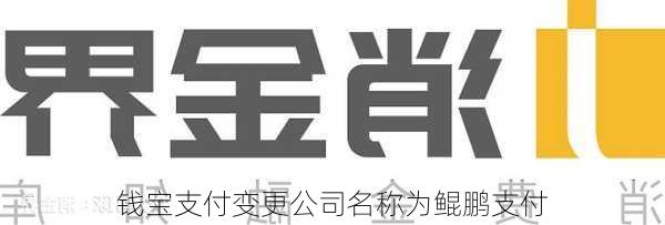 钱宝支付变更公司名称为鲲鹏支付