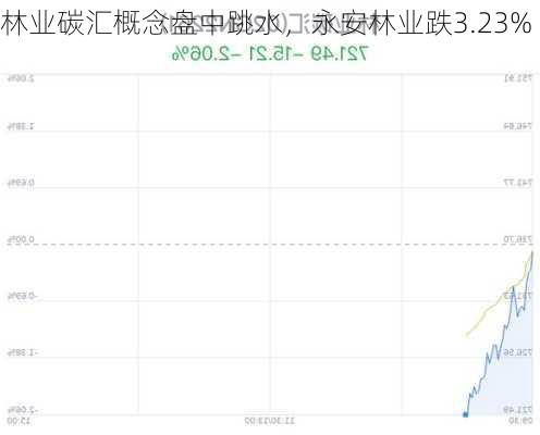 林业碳汇概念盘中跳水，永安林业跌3.23%