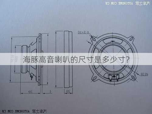 海豚高音喇叭的尺寸是多少寸？