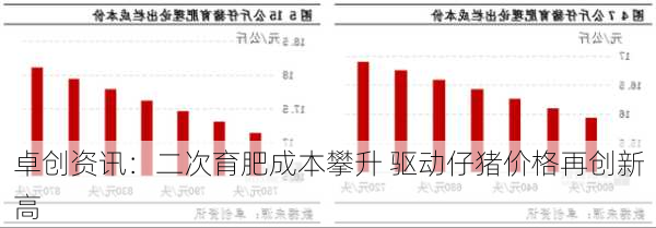 卓创资讯：二次育肥成本攀升 驱动仔猪价格再创新高