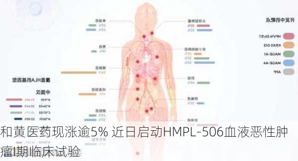 和黄医药现涨逾5% 近日启动HMPL-506血液恶性肿瘤I期临床试验