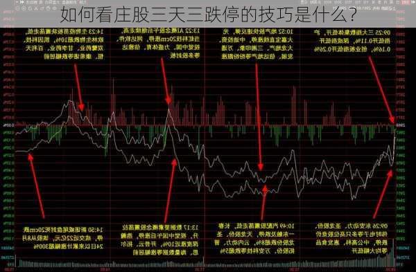 如何看庄股三天三跌停的技巧是什么？