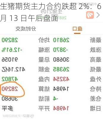 生猪期货主力合约跌超 2%：6 月 13 日午后盘面