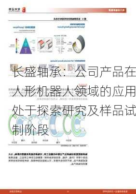 长盛轴承：公司产品在人形机器人领域的应用处于探索研究及样品试制阶段