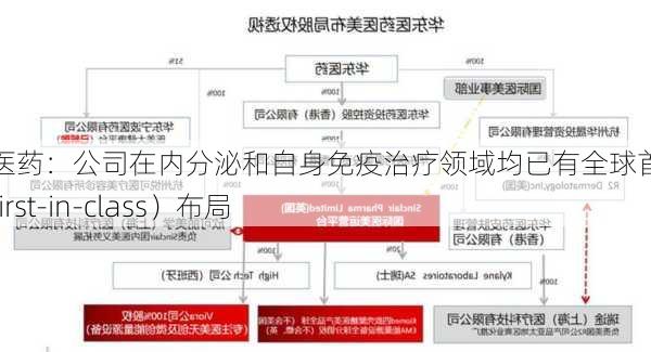 华东医药：公司在内分泌和自身免疫治疗领域均已有全球首创新药（first-in-class）布局