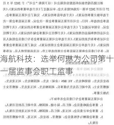 海航科技：选举何琳为公司第十一届监事会职工监事