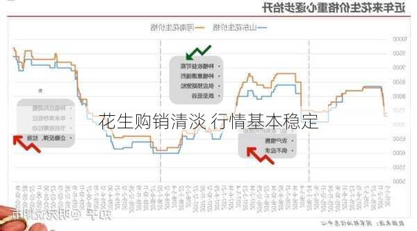 花生购销清淡 行情基本稳定