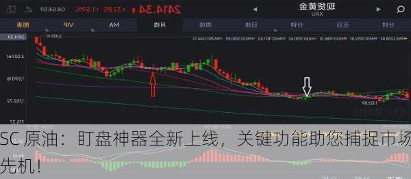 SC 原油：盯盘神器全新上线，关键功能助您捕捉市场先机！