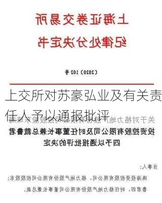 上交所对苏豪弘业及有关责任人予以通报批评