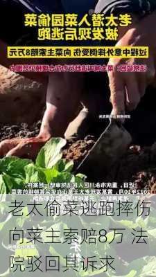 老太偷菜逃跑摔伤 向菜主索赔8万 法院驳回其诉求