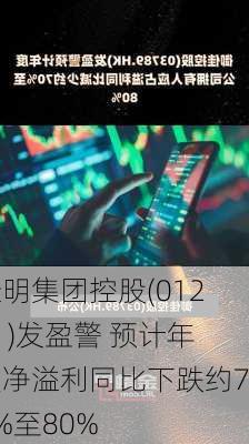 佳明集团控股(01271)发盈警 预计年度净溢利同比下跌约70%至80%