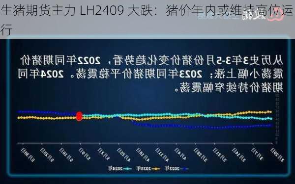 生猪期货主力 LH2409 大跌：猪价年内或维持高位运行