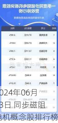 2024年06月13日 同步磁阻电机概念股排行榜