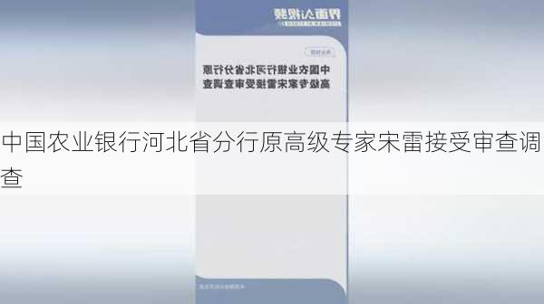 中国农业银行河北省分行原高级专家宋雷接受审查调查