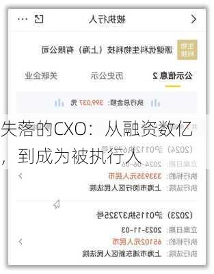 失落的CXO：从融资数亿，到成为被执行人