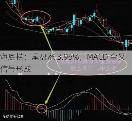 海底捞：尾盘涨 3.96%，MACD 金叉信号形成