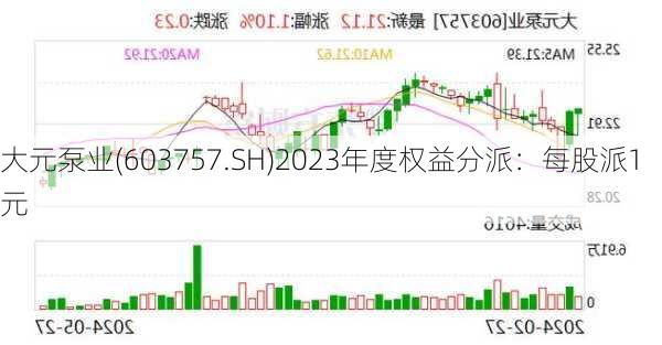 大元泵业(603757.SH)2023年度权益分派：每股派1元