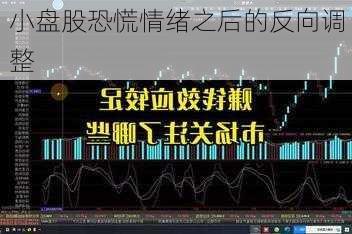 小盘股恐慌情绪之后的反向调整