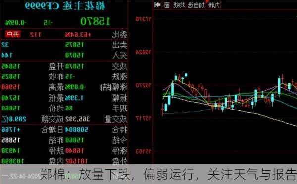 郑棉：放量下跌，偏弱运行，关注天气与报告