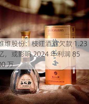 维维股份：枝江酒业欠款 1.23 亿，或影响 2024 年利润 8500 万